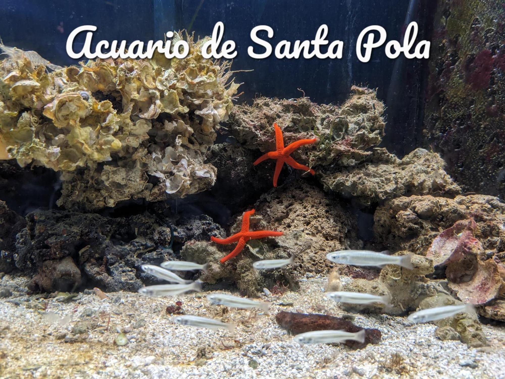 Best Holiday Santa Pola Exterior photo
